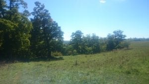 September 20 2016 Bruce Trail Hiking