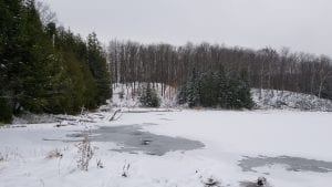 McCarston's Lake