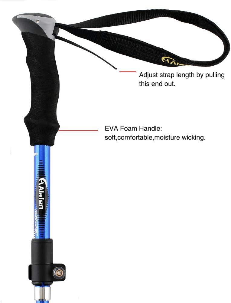 Together We Trek: Our Journey with the Ultimate Hiking Pole