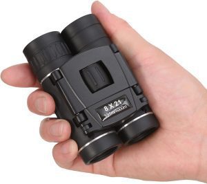 Exploring the World Around Us: Our Adventure with 8×21 Binoculars